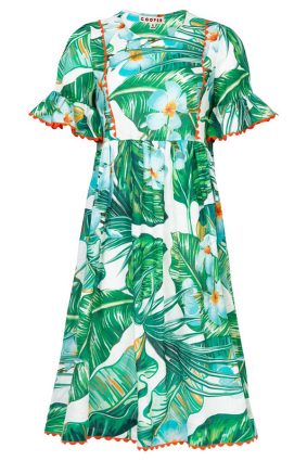 Cooper Island in The Sun Leaf Print