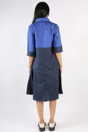 Bagruu Harvey CB Dress Cobalt and Black