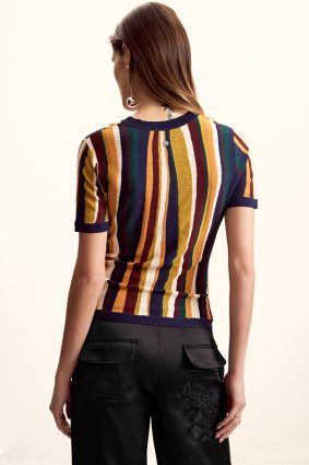 Desigual Stripe T-shirt Tutti Fruti front view showing fitted silhouette and bold multicoloured vertical stripes