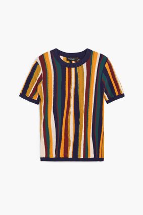 Desigual Stripe T-shirt Tutti Fruti front view showing fitted silhouette and bold multicoloured vertical stripes
